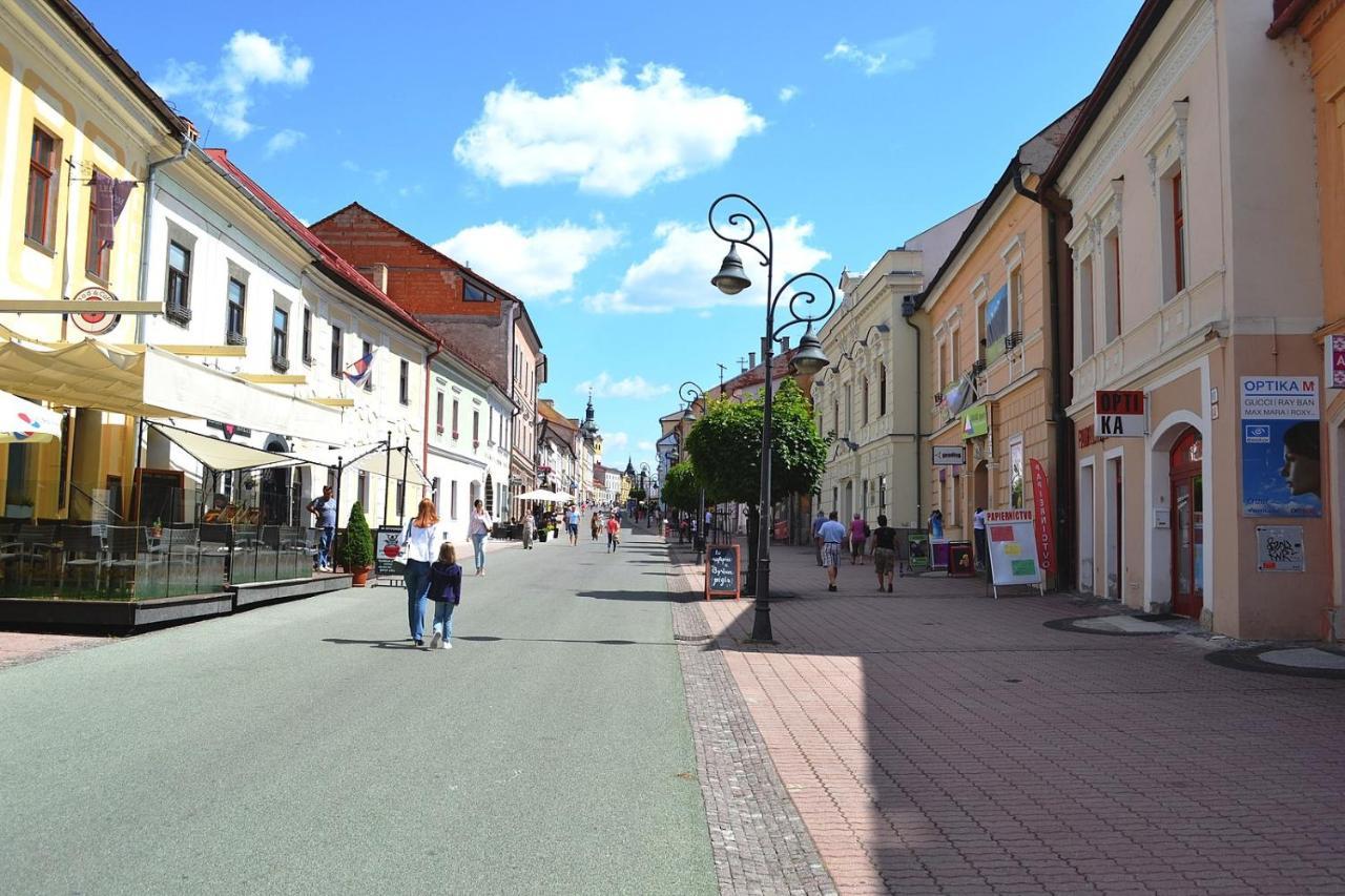 Old Town Apt. A/C And Parking Banská Bystrica Extérieur photo